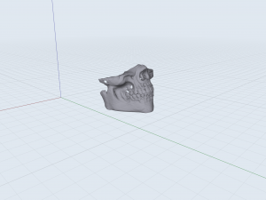 3d mask skull 3D मॉडल