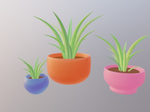 plant 3D Model