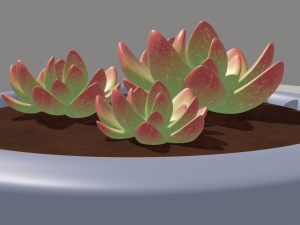 succulent 3D 모델