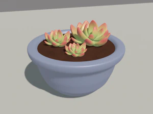 succulent 3D Model