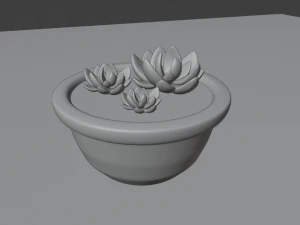 succulent 3D Model