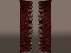 smile room 3D Model