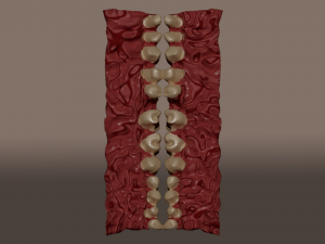 smile room Modèle 3D