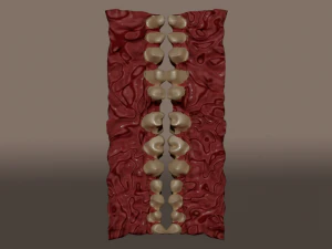 smile room 3D Model