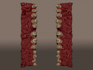 smile room Modèle 3D