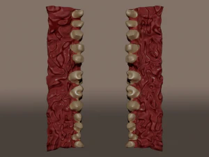 smile room 3D Model
