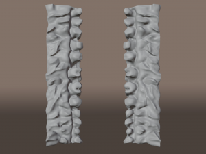 smile room Modèle 3D
