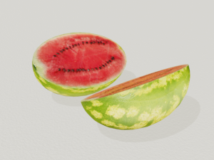 realistic watermelon 3D Model