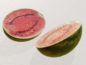realistic watermelon 3D Model