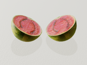 realistic watermelon 3D Model
