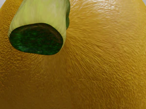 pera realista Modelo 3D