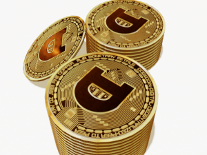 dogecoin 3D Model