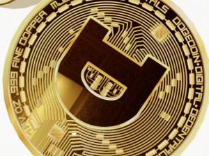 dogecoin 3D Model