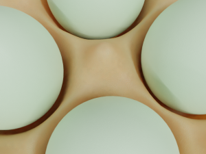eggs box 3D Model