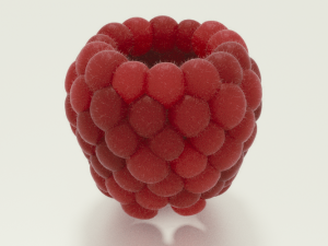 raspberry Modelo 3D