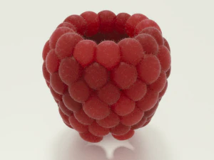 raspberry 3D Model