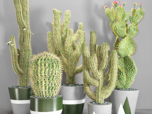 꽃병 109 3D 모델