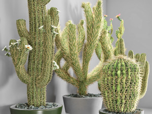 vase 109 Modelo 3D
