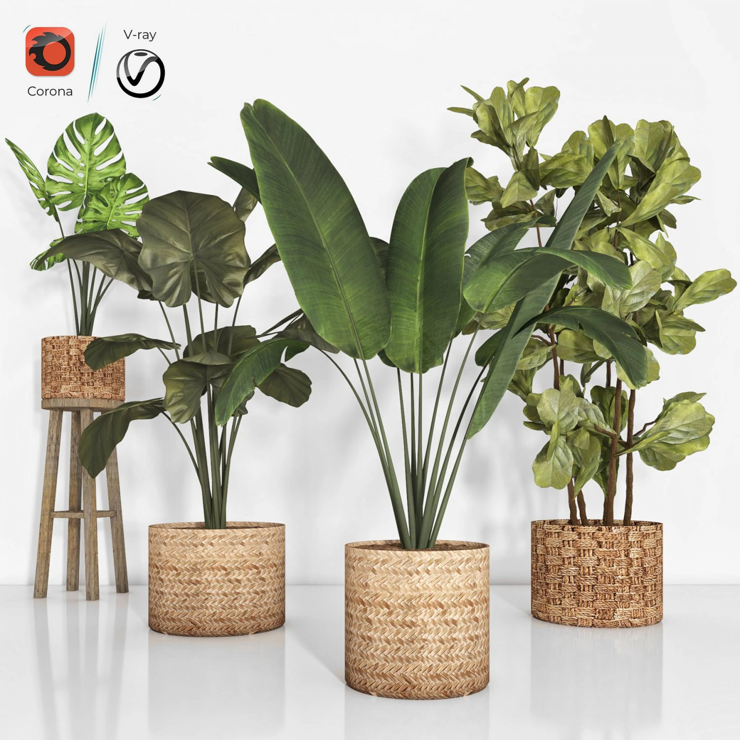 indoor plant 103 3D Model .c4d .max .obj .3ds .fbx .stl .blend