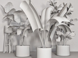 indoor plant 103 3D Model