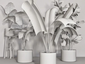 indoor plant 103 3D Model