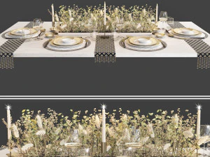 apparecchiare la tavola 103 Modello 3D