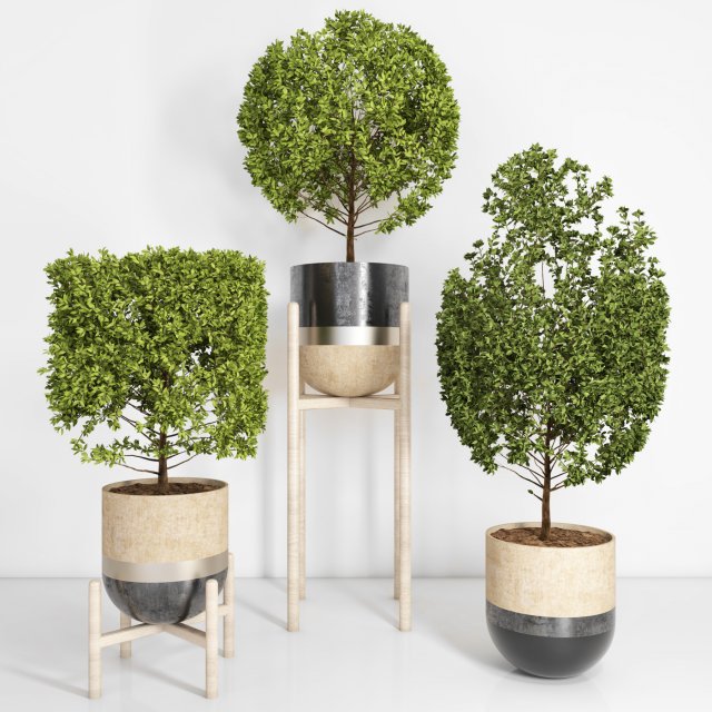 indoor plant 101 Modelo 3D .c4d .max .obj .3ds .fbx .stl .blend 