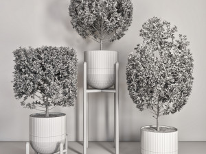 indoor plant 101 Modelo 3D