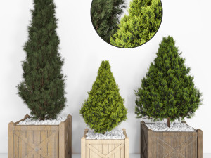 indoor plant 102 3D Model