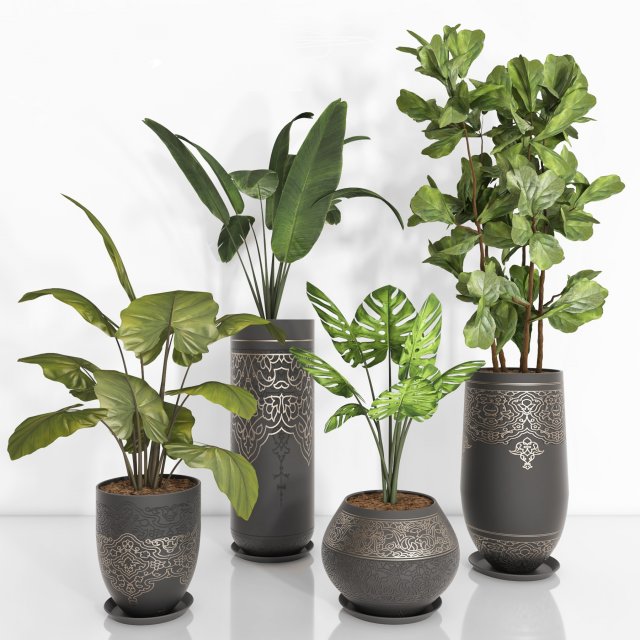 indoor plant 104 3D Model .c4d .max .obj .3ds .fbx .stl .blend 