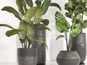 indoor plant 104 3D Model