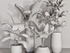 indoor plant 104 3D Model