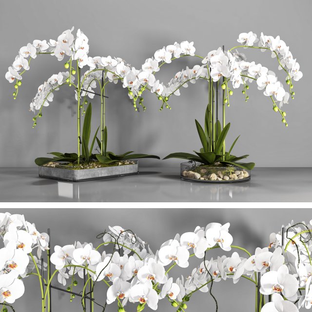 vase 108 3D Model .c4d .max .obj .3ds .fbx .stl .blend 
