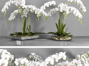 vase 108 3D Model