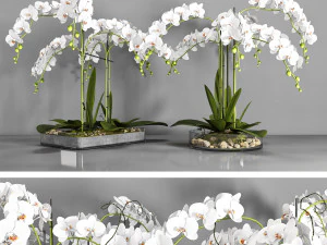 꽃병 108 3D 모델