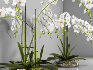 vase 108 3D Model