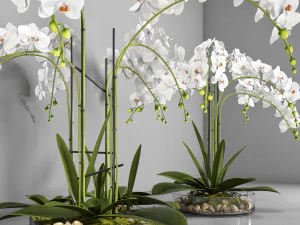 vase 108 3D Model