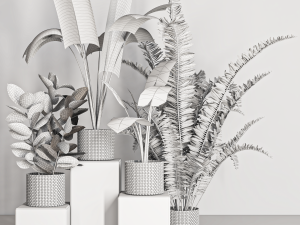 Decorative set48 Modelo 3D