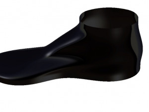 shoe 3D Model