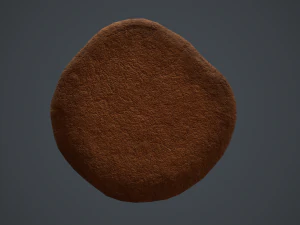 chocolate chip cookie 3D Model