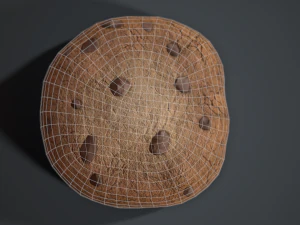 chocolate chip cookie 3D Model