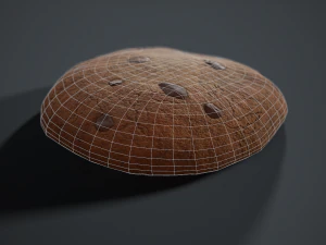 chocolate chip cookie 3D Model