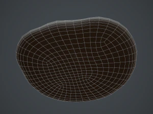 chocolate chip cookie 3D Model
