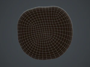 chocolate chip cookie 3D Model
