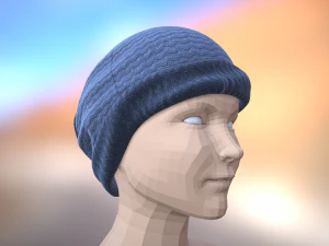 bobble hat 3D Model