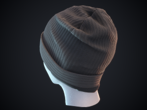beanie hat 3D 模型