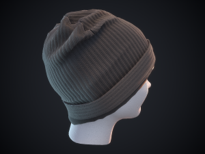 beanie hat 3D 模型