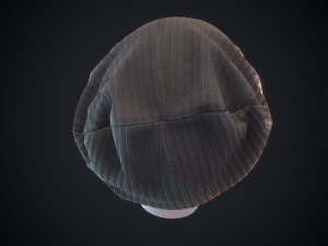 beanie hat 3D 模型