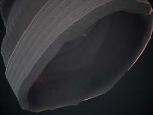 beanie hat 3D 模型