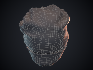 beanie hat 3D 模型